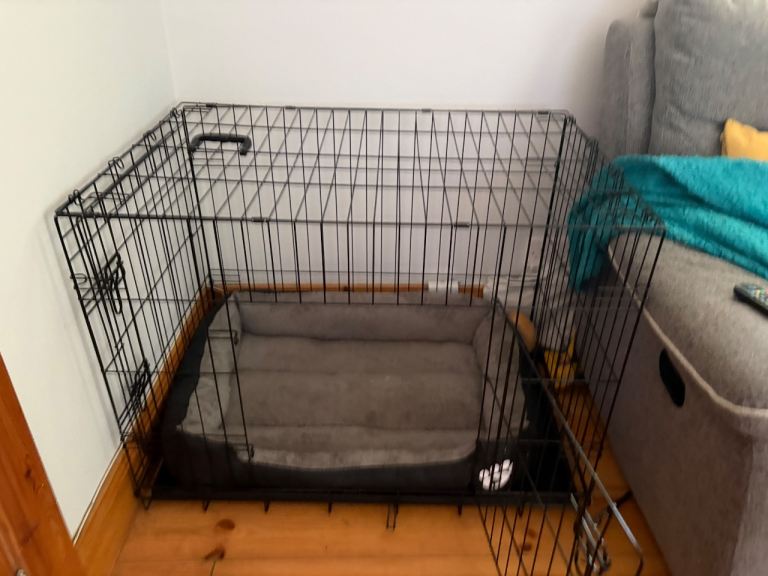 Large dog crate