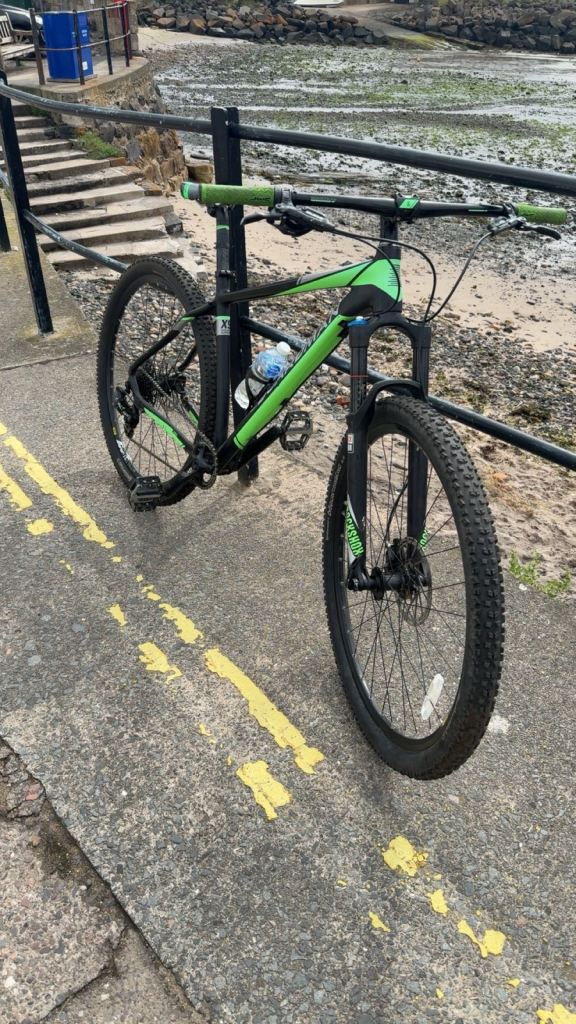 Boardman Pro 29er 
