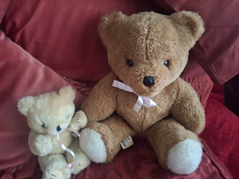 GENESIS 2 TEDDY BEAR + SMALLER  MILLS &  BOON  TEDDY