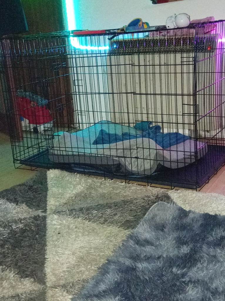 Brand new xxl dog crate