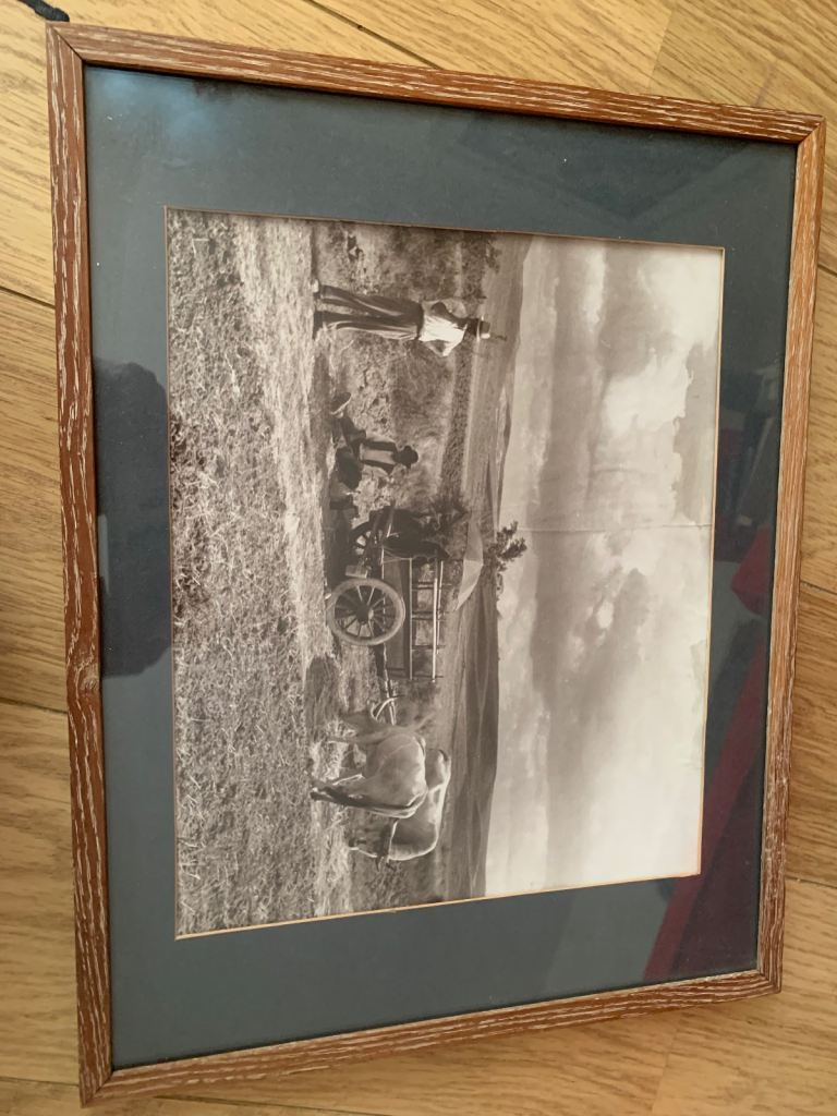 Wonderful farming black and white print picture - maybe Italy