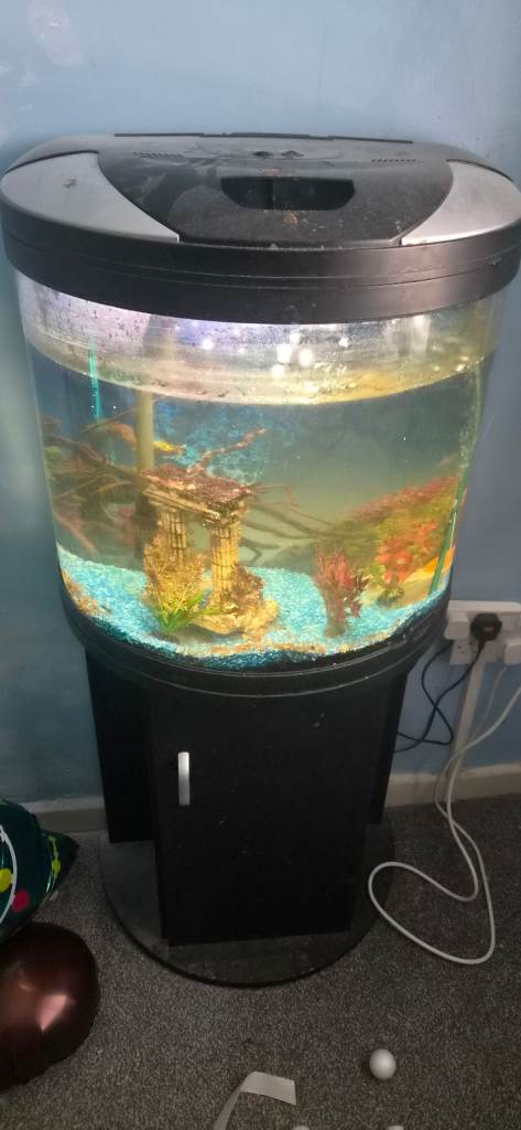Fish tank and stand