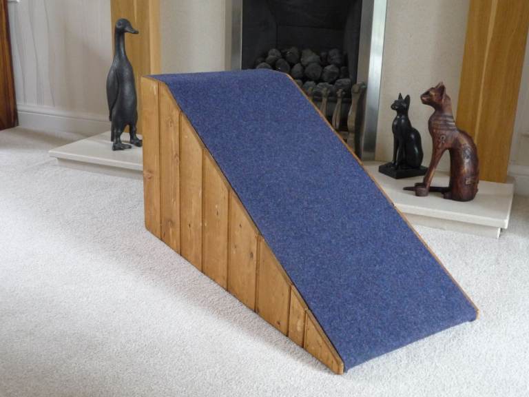 Dog/Pet Ramp for Dog Flap