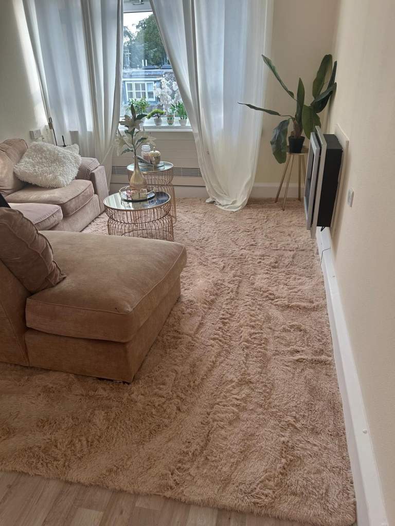 Is anyone looking for shelter accommodation council flat?
