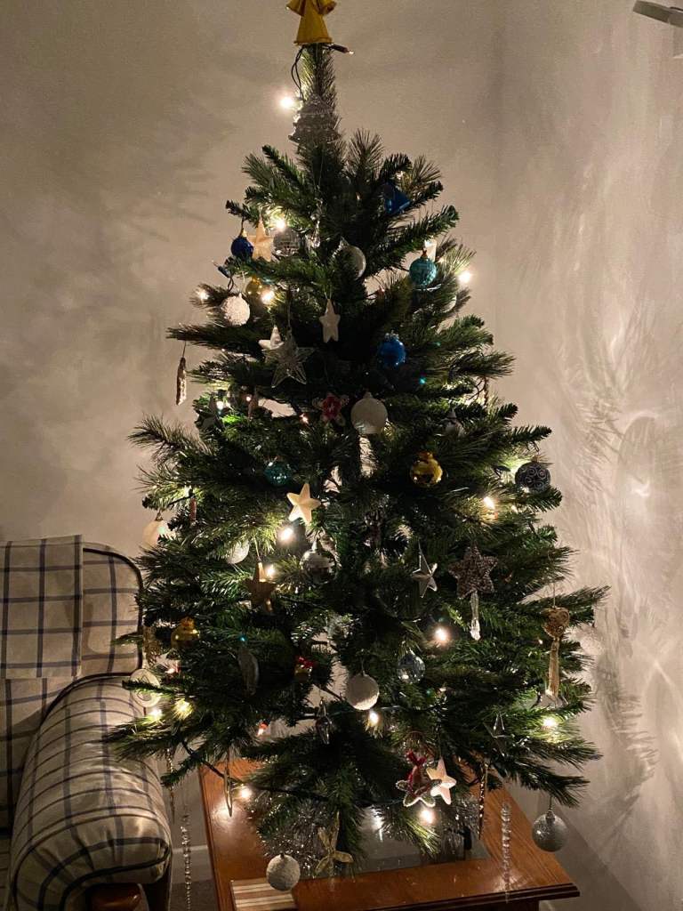 Xmas Tree - Rocky Ridge Slim Pine Hinged Tree Height 5.5 Ft 
