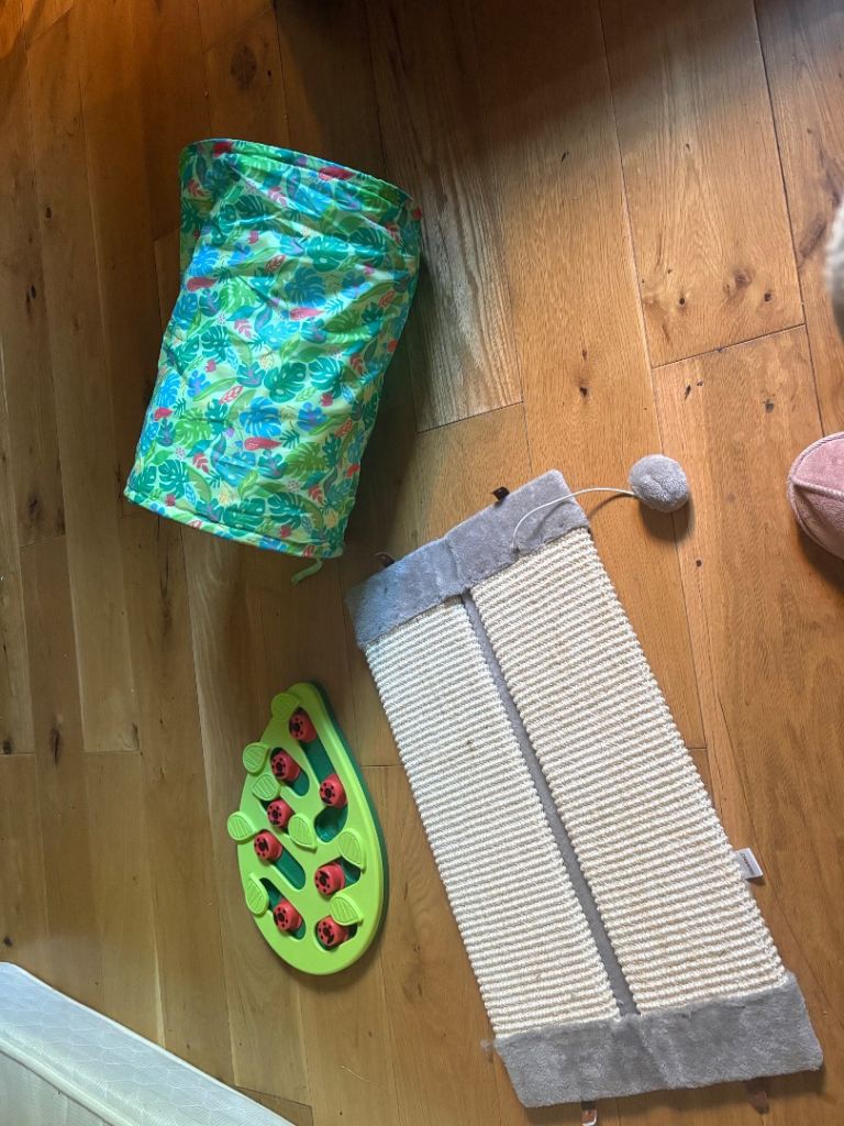 Cat Toy Bundle – Tunnel, Scratcher & Puzzle Feeder