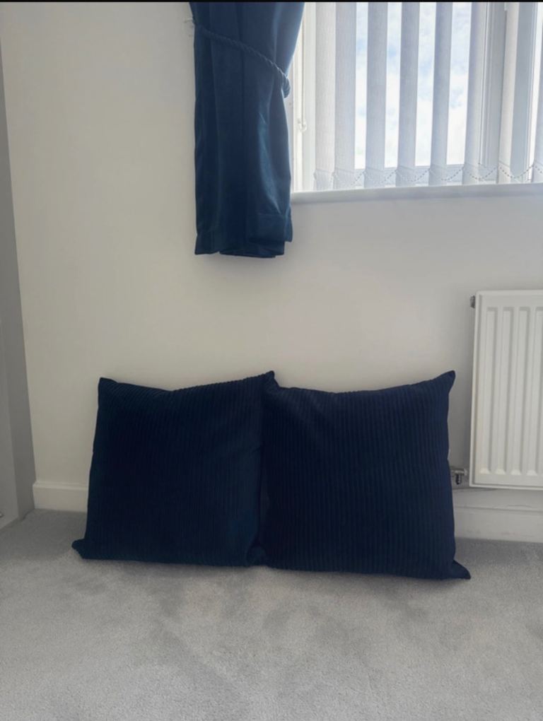 2 x Navy velvet cushions 