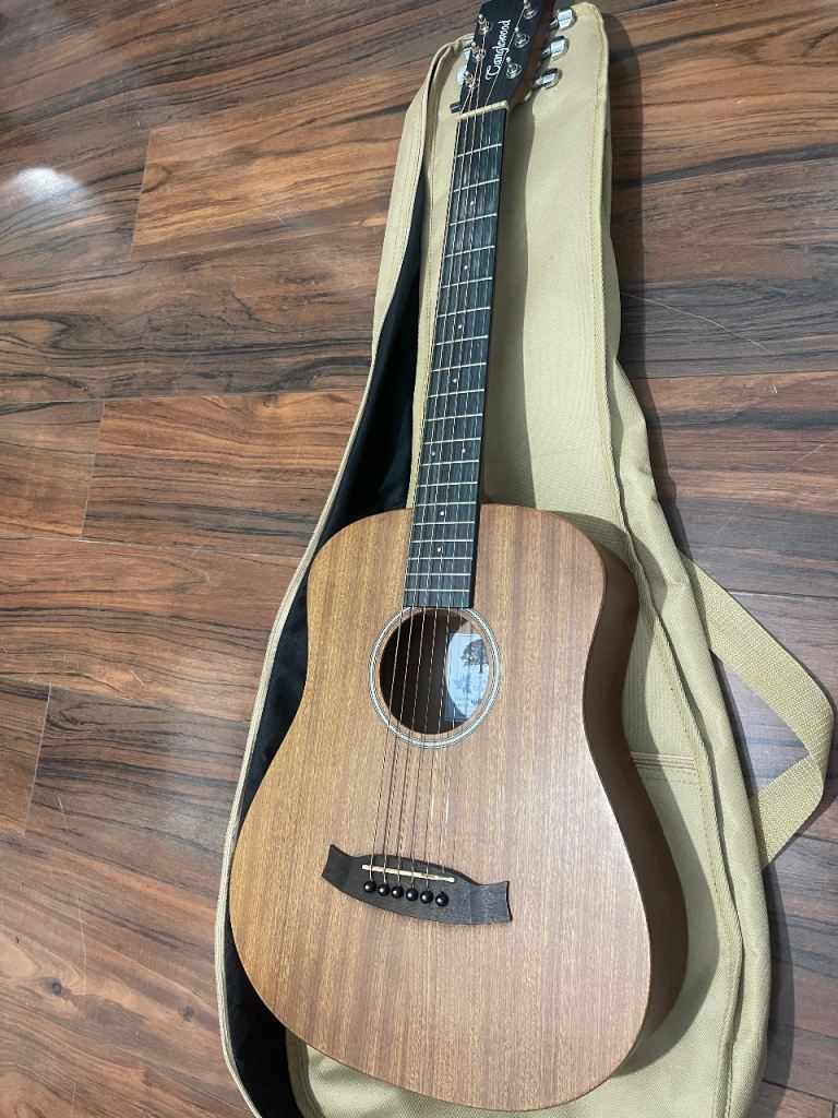 Tanglewood Adult travel guitar 