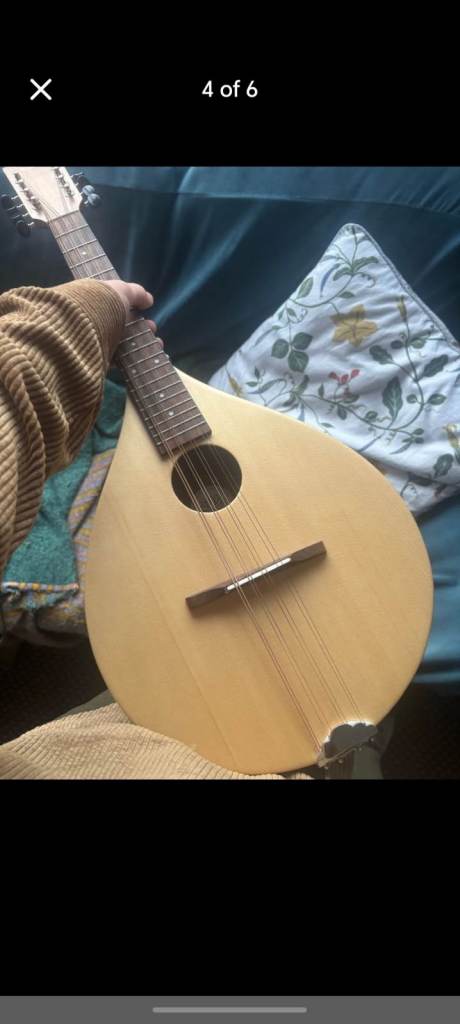 Ashbury Rathlin Tenor Mandola Mandolin solid spruce folk RP 370