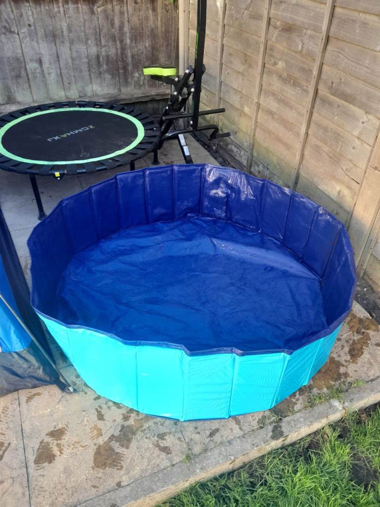Large dog paddling pool 