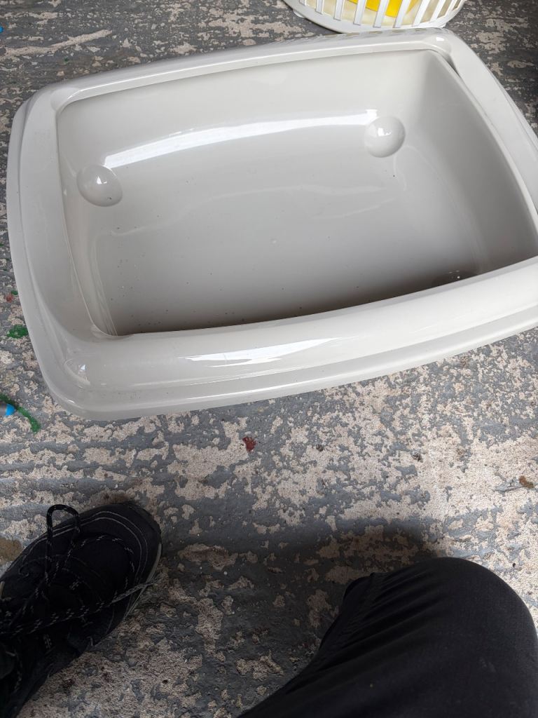 Cat carrier and litter trays
