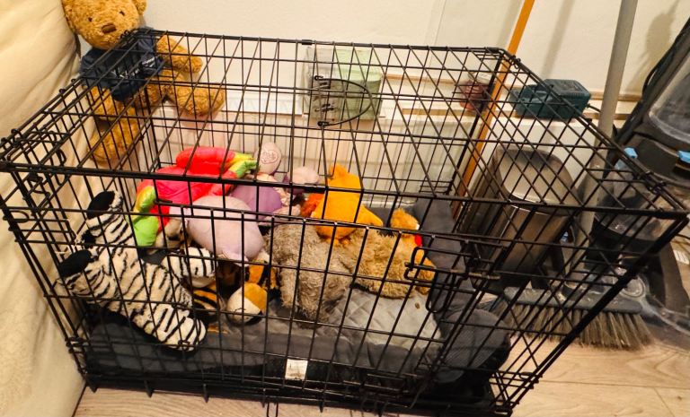 Medium size dog cage