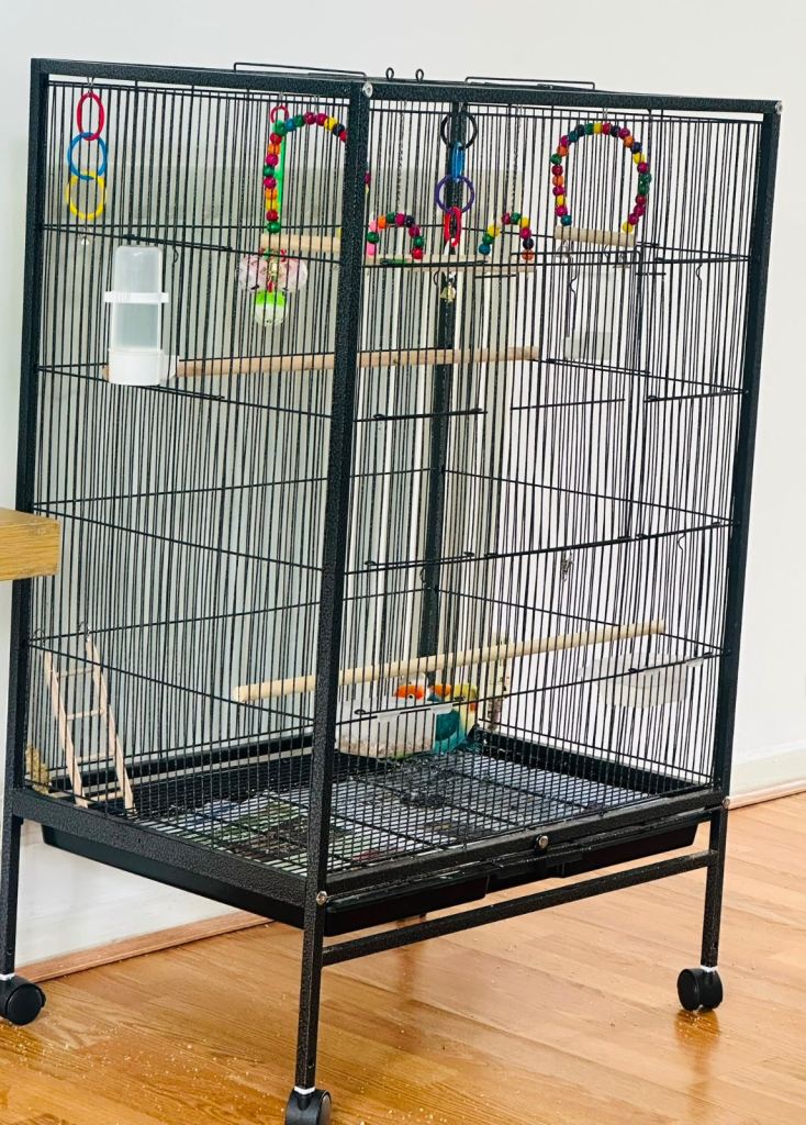 Beautiful Cage for Lovebirds and Budgies 