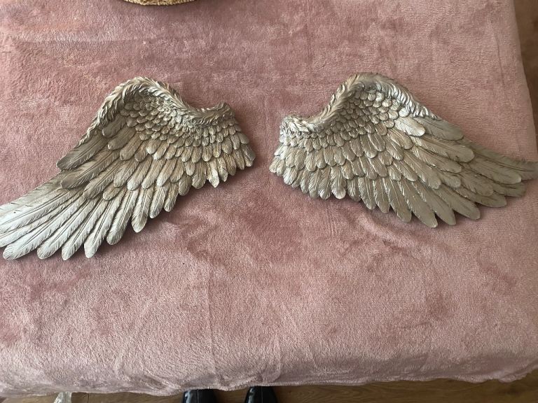 2 large angel wings 