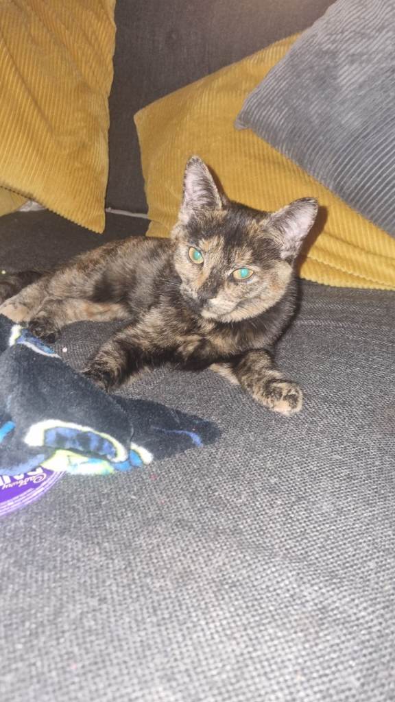 Beautiful girl 5 months old