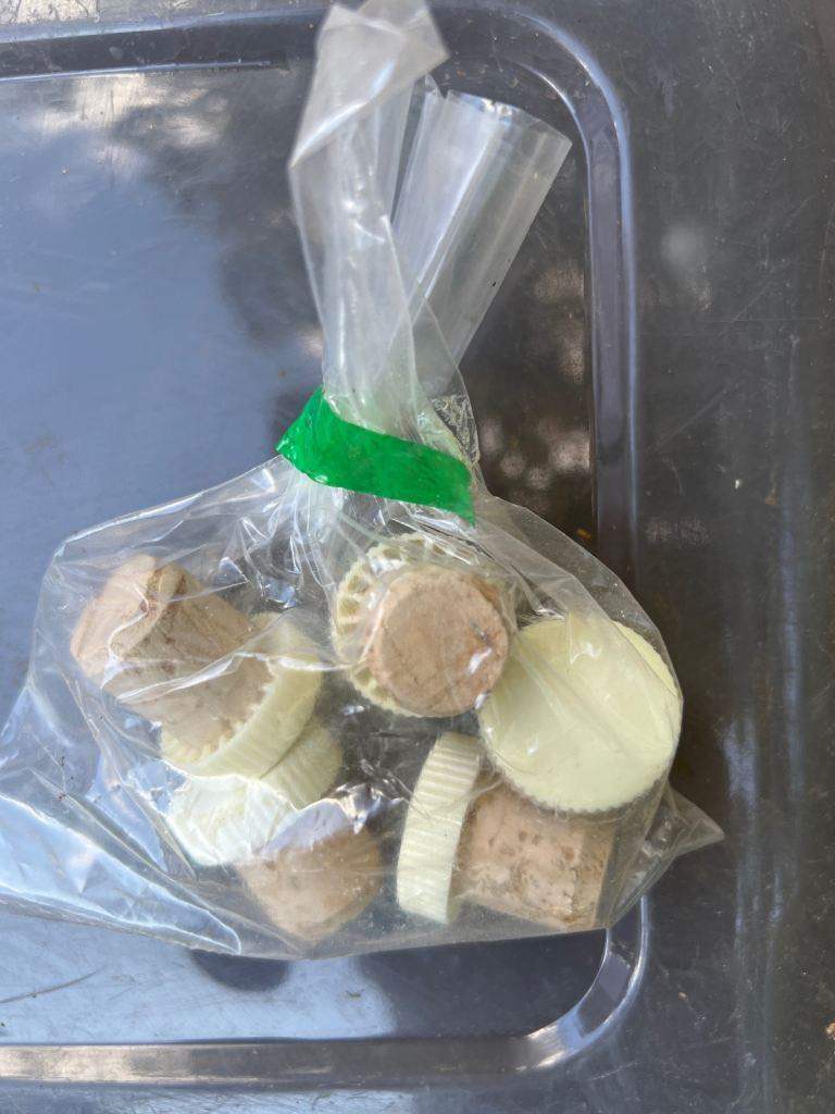 Free cork bottle stops 