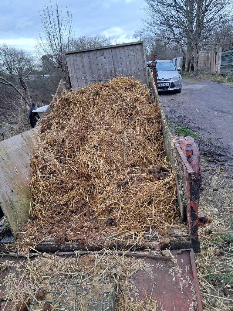 FREE HORSE MANURE 