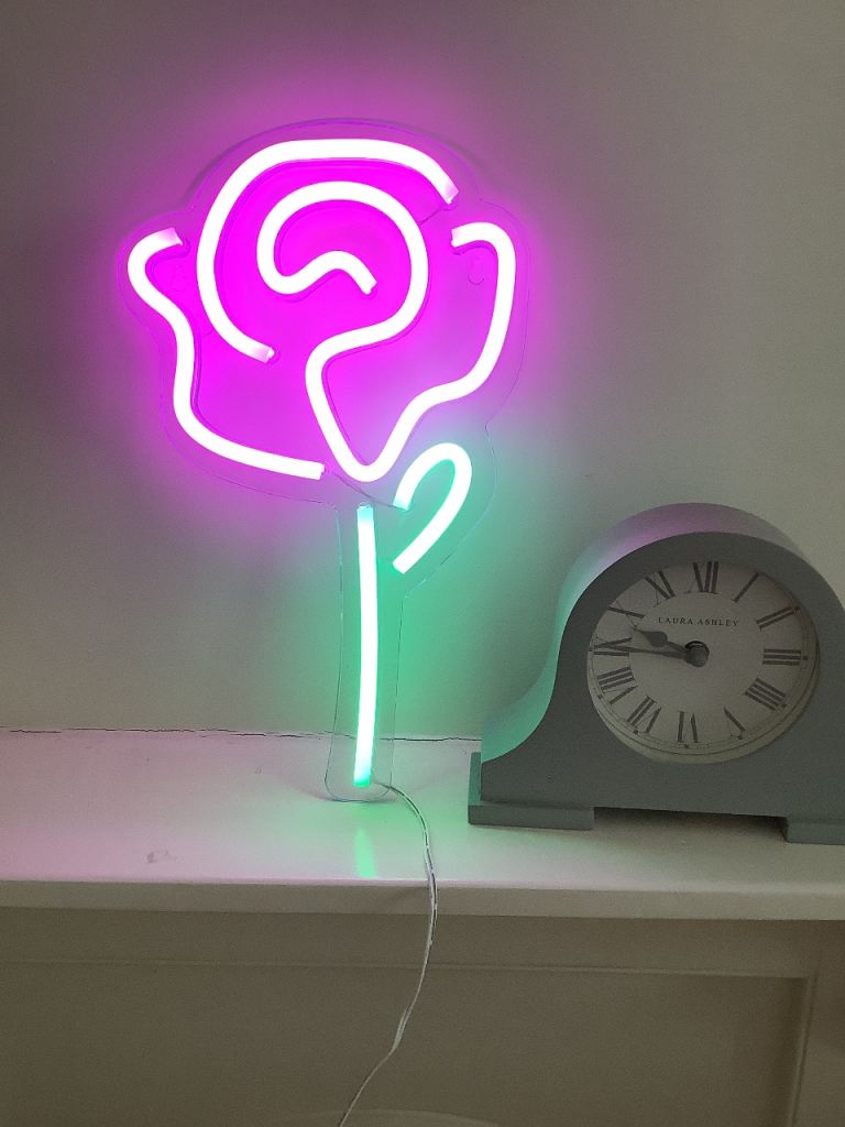 Neon Rose LED Light – Pink and Green -£6