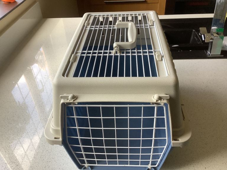 Cat Care Accessories
