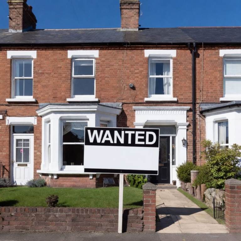 2-3 bed house wanted (to buy)