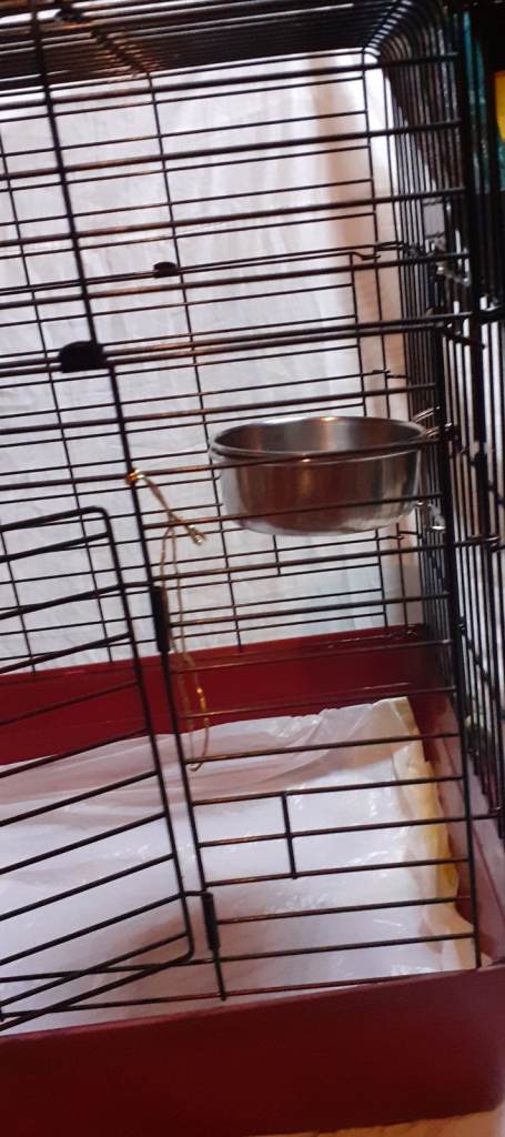 Large size pet cage