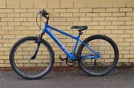 Apollo Phaze Mountain 