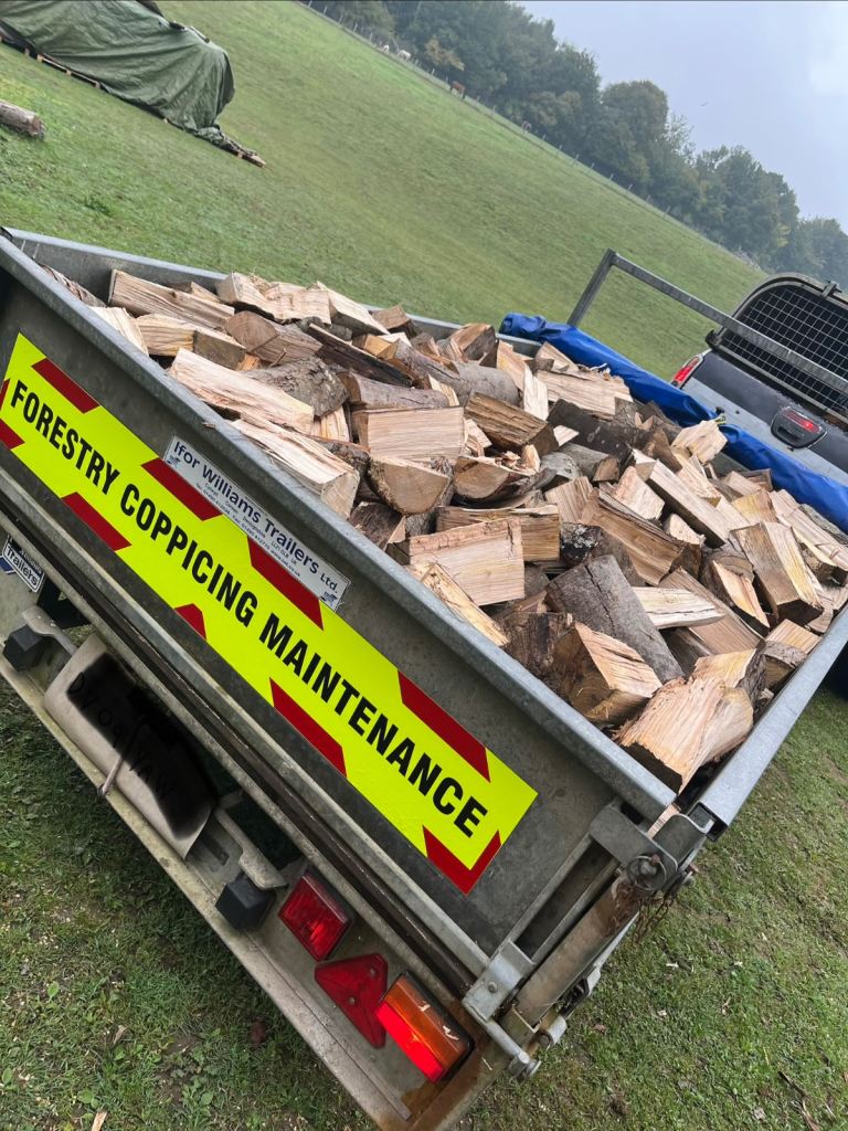 Logs 2 years seasoned mix English hardwood