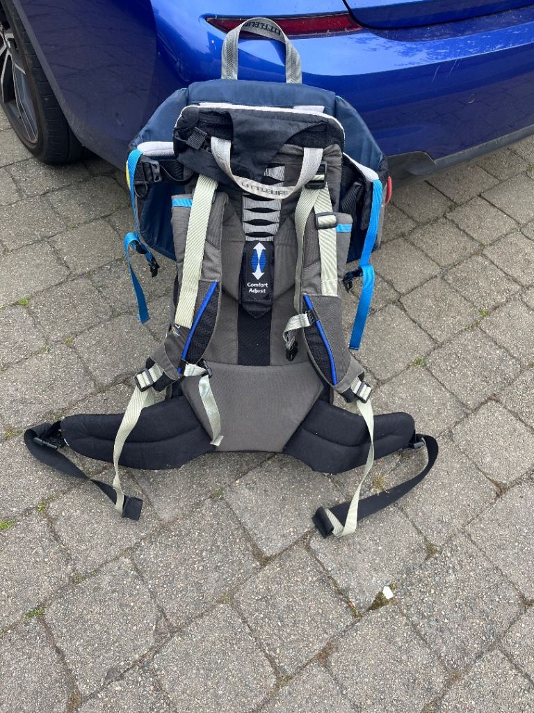 Little life child carrier