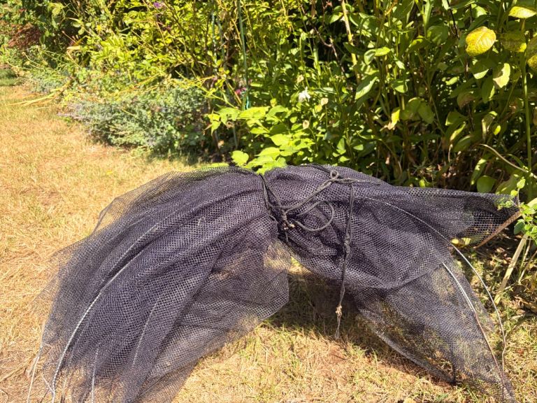 Garden Netting with Hoops 