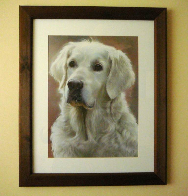 Large framed picture of Golden Retriever.