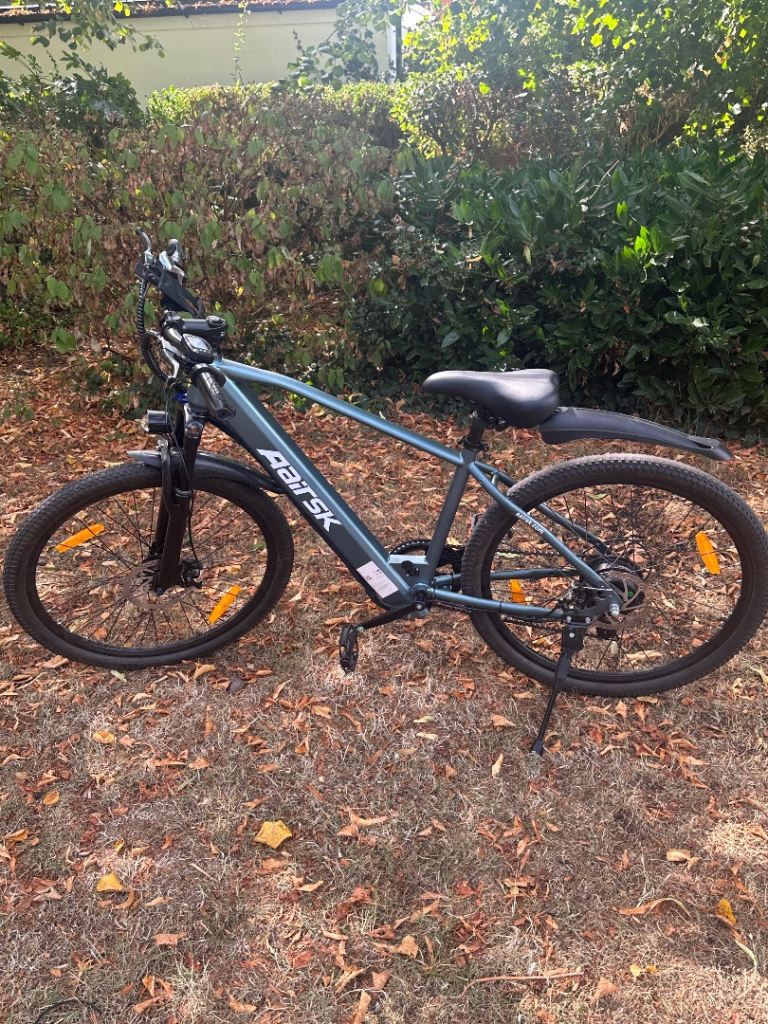 Electric bike 