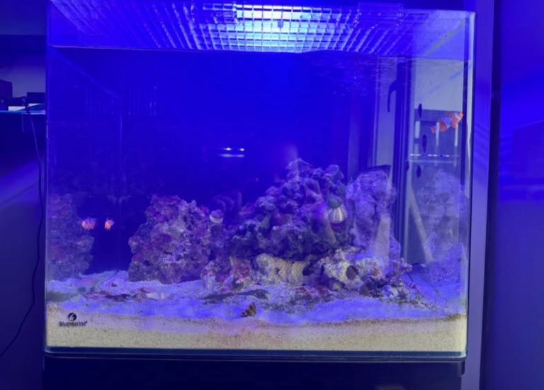 ***TANK AND A FEW EXTRAS PLEASE READ DESCRIPTION****