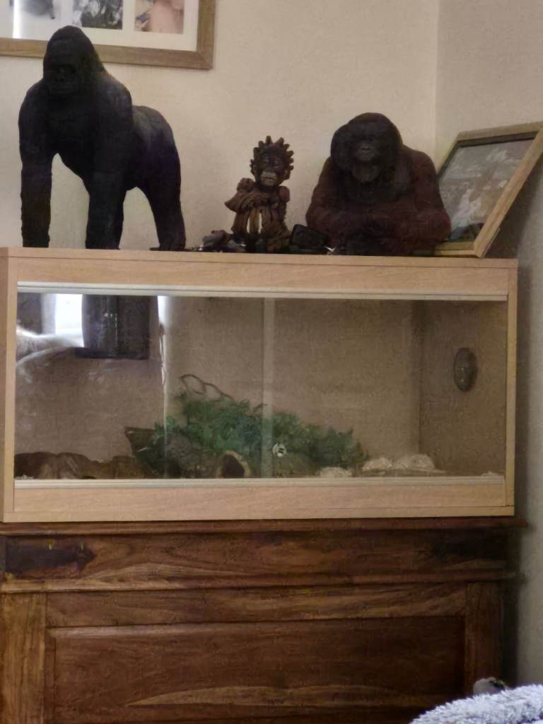 Vivarium 
