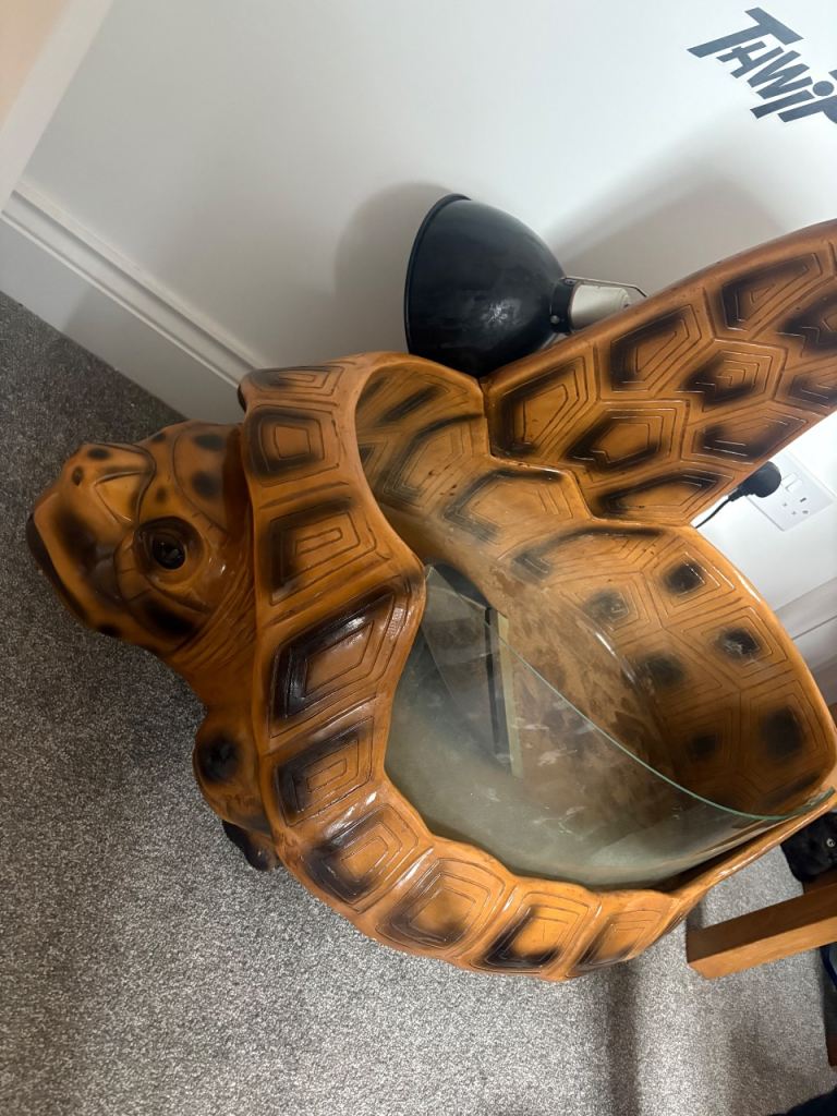Tortoise table