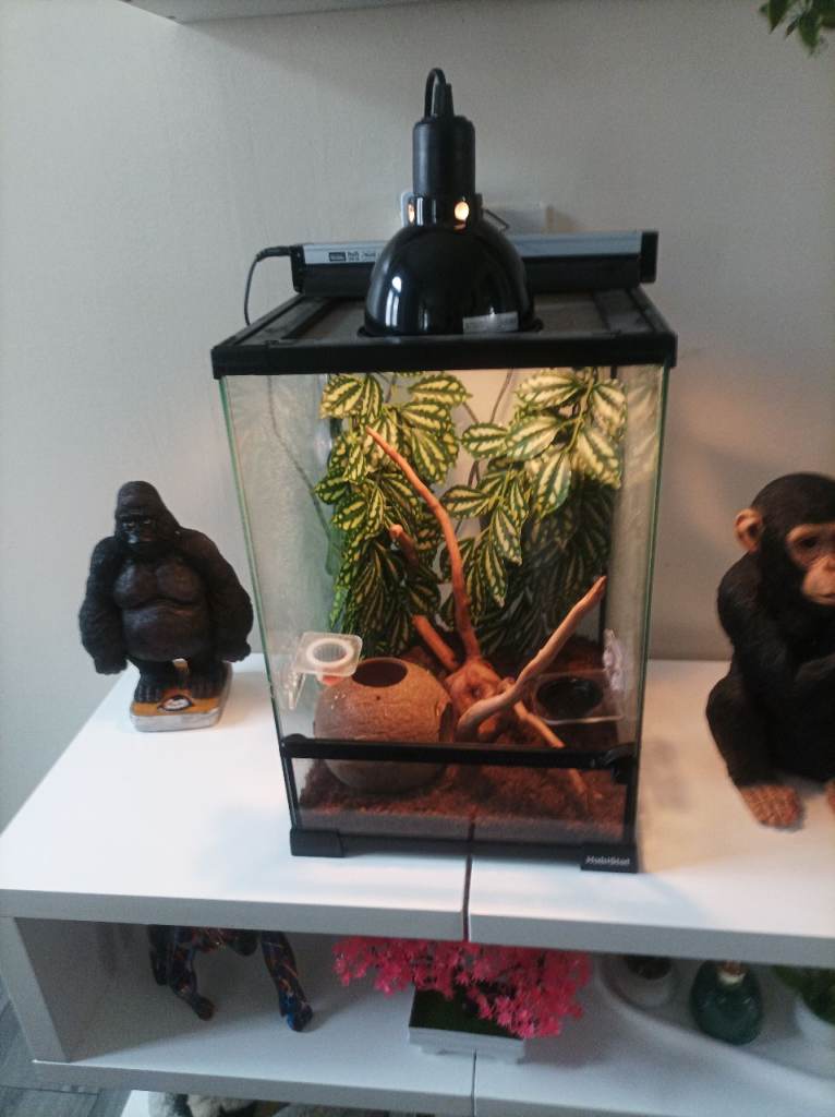 Full set up