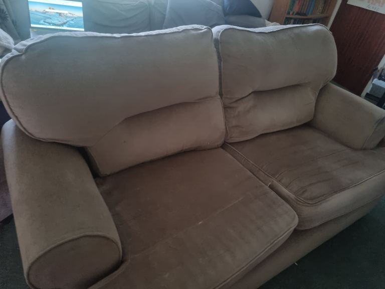 Free to a good/any home