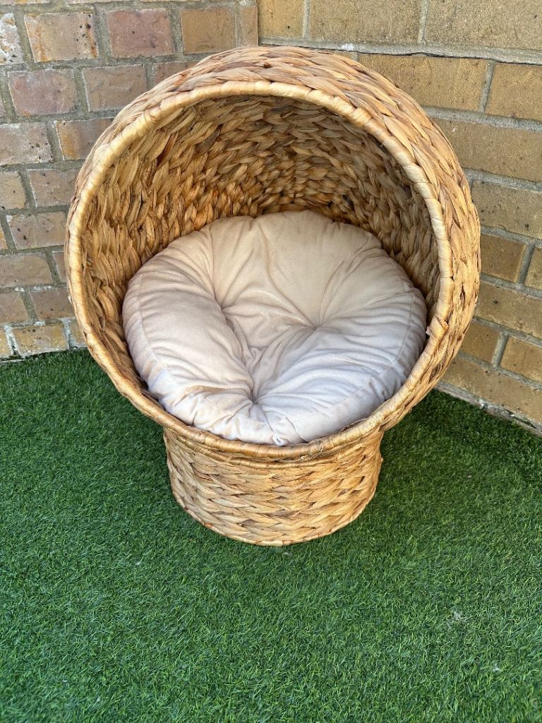 cat bed