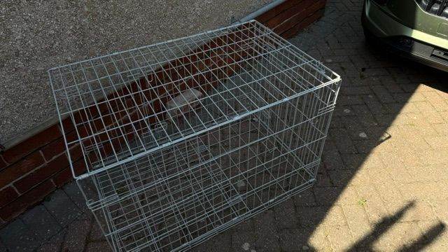 Large dog Crate