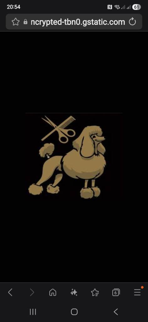 Mobile pet grooming company