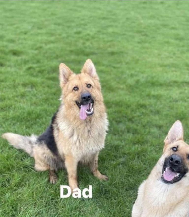 Bruv 3 and half year old boy 