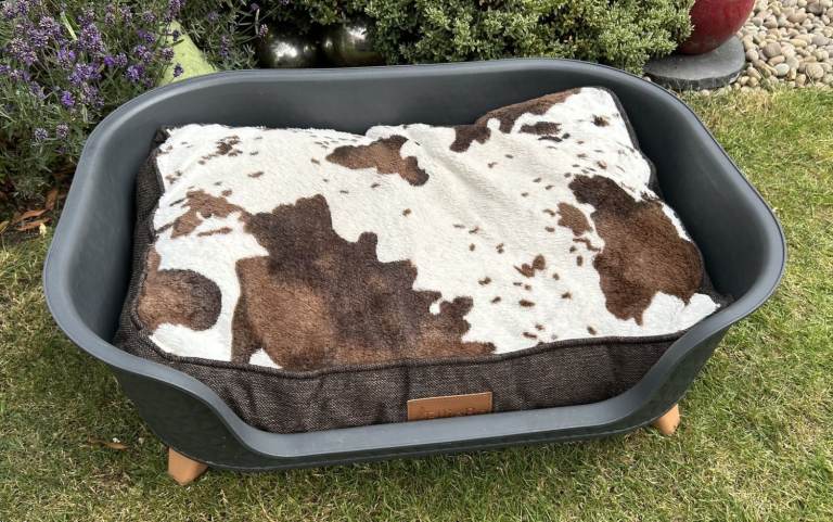 Dog Bed With Mattress