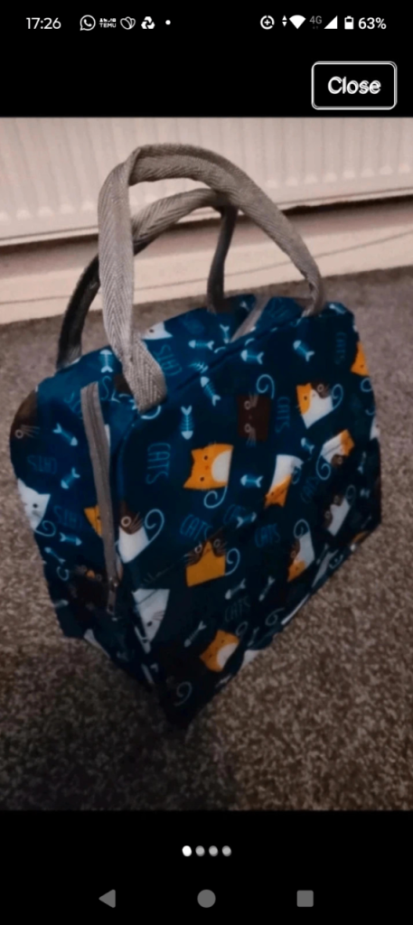 Cat pattern lunch bag