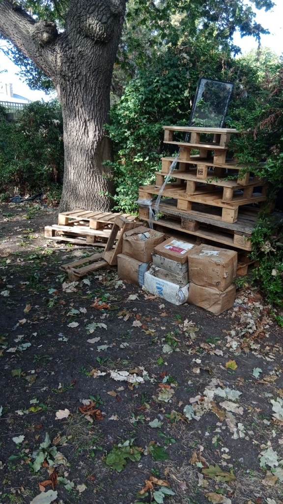 Free pallets 