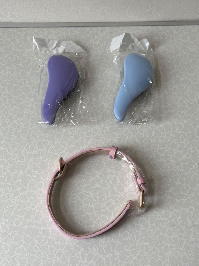 Dog leash and 2 brushes 