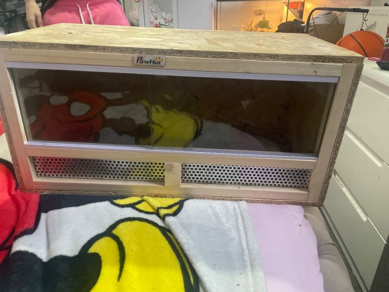 Vivarium for any small reptiles 