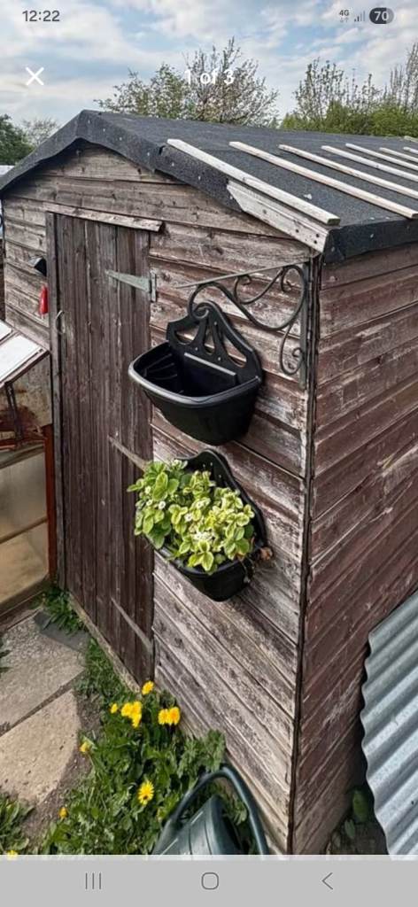 7x7 shed