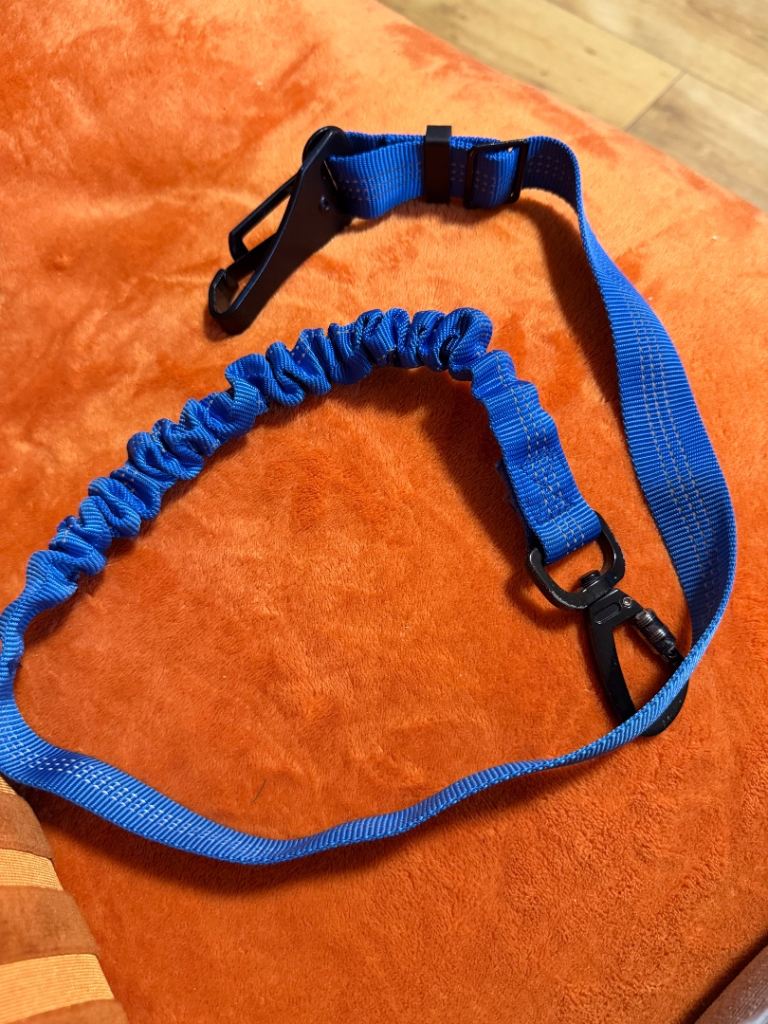 Dog seat harness