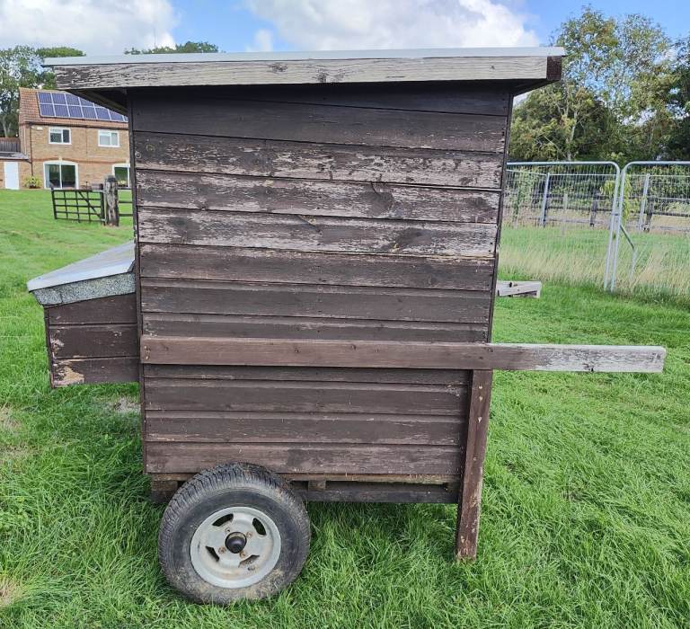 Chicken house for 15/20 birds
