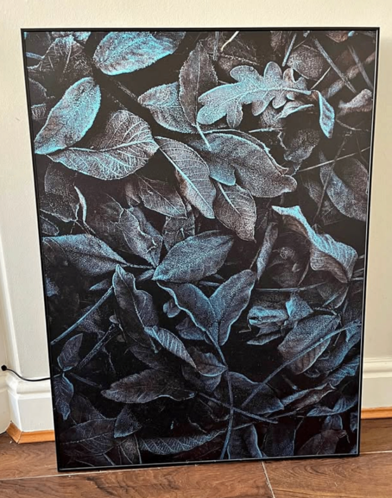 image for BoConcept Nightfall Art Gallery