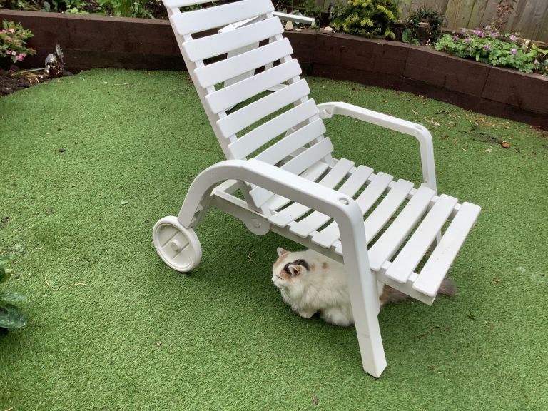Sun lounger